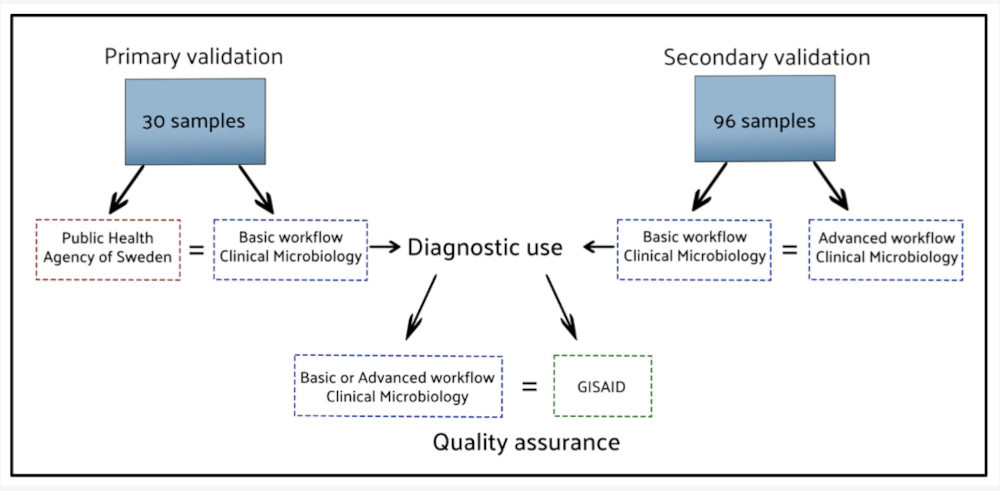 New data highlight on GUI-based workflows for SARS-CoV-2 Nanopore sequencing analysis